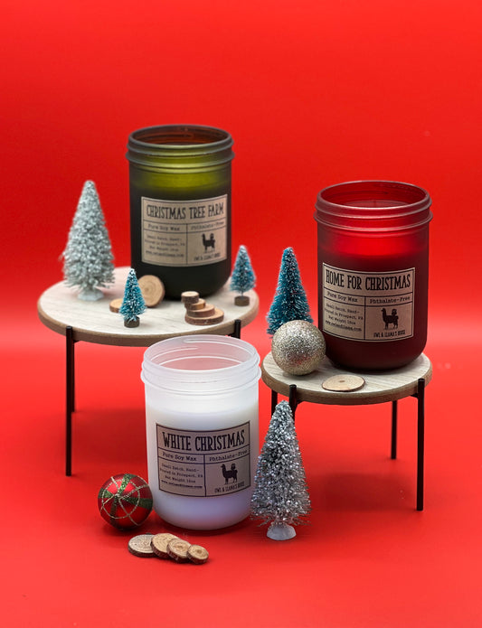 Frosted Christmas Candles